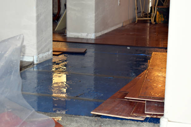 Professional Water Damage Restoration technician working in Middle Bass, OH